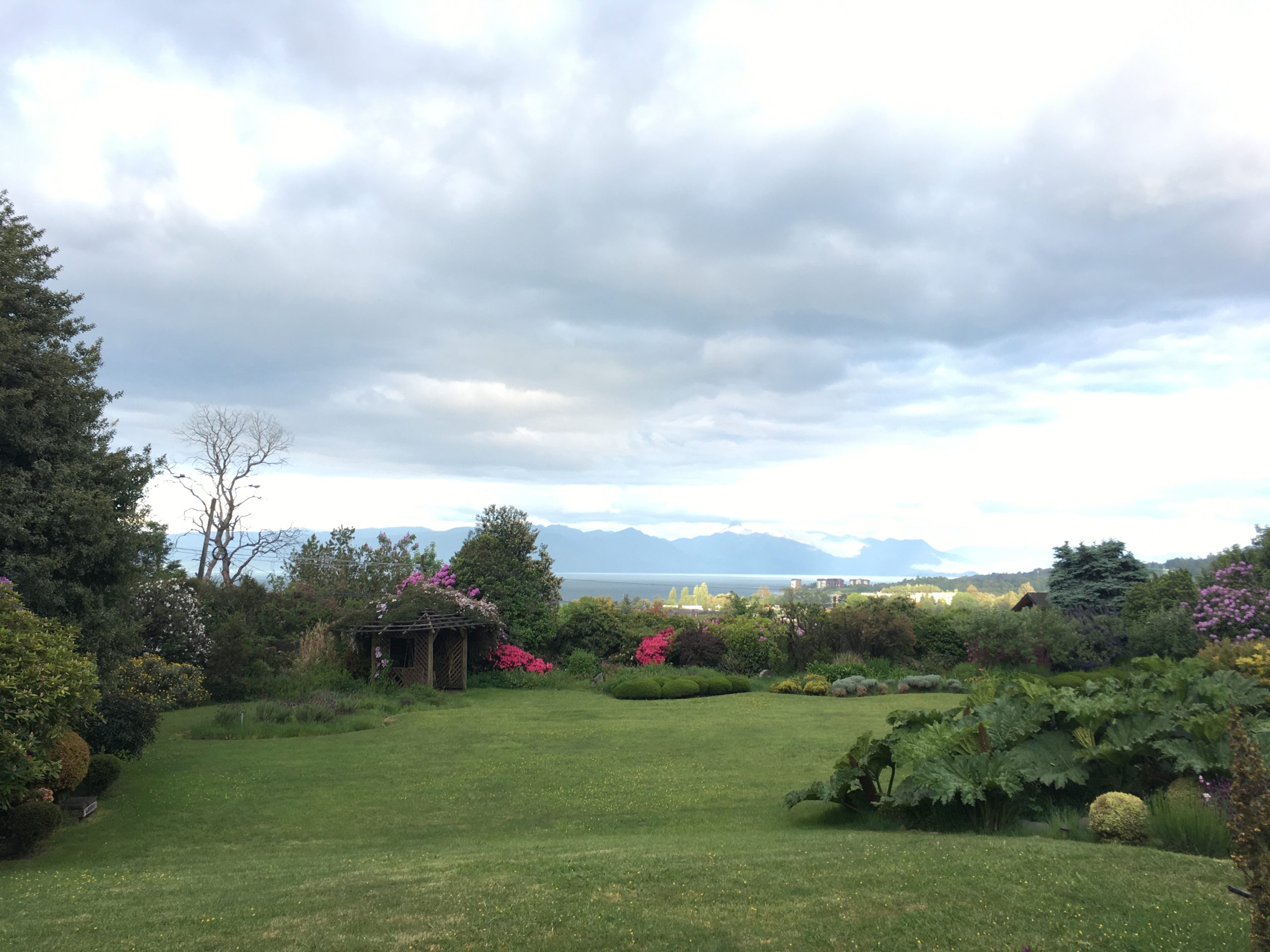 Araucania Region of Chile, known for boutique and experimental vineyards and wineries