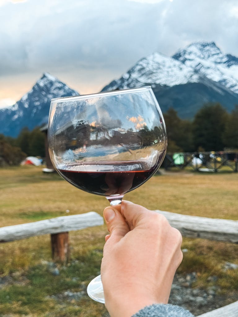 Enjoying a glass of wine with a stunning mountain backdrop in Southern Chile.