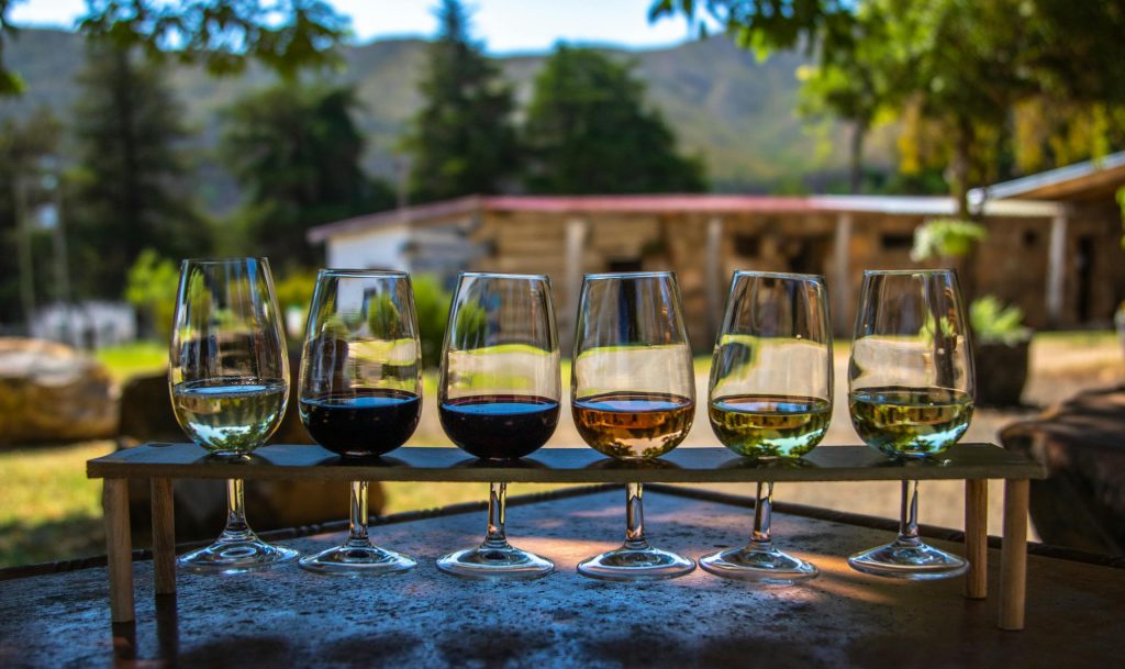 A selection of wine glasses displayed outdoors with a scenic vineyard background.