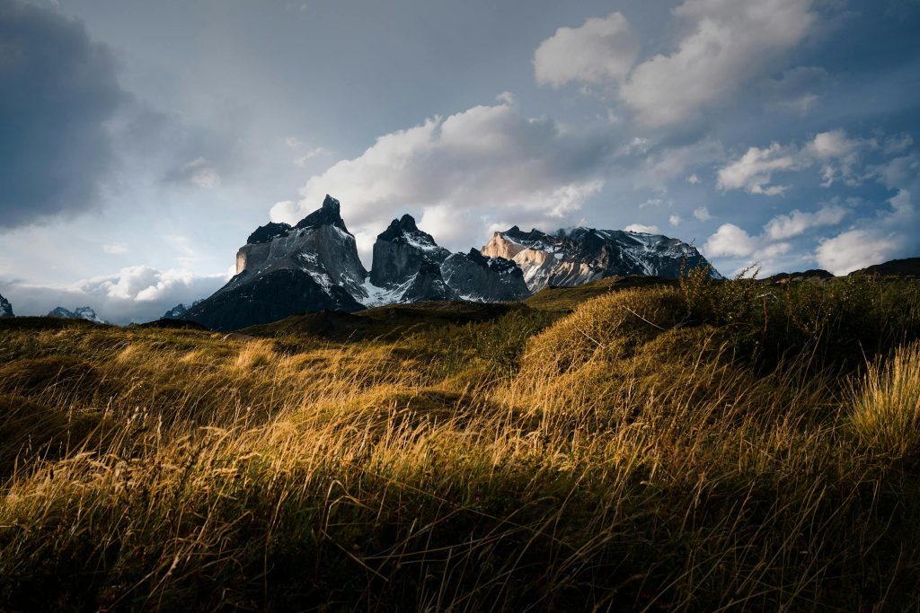 Breathtaking landscape of Torres del Paine with golden grass and cloudy sky.