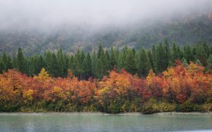 Best Time to Visit Chile for Perfect Weather and Fewer Crowds